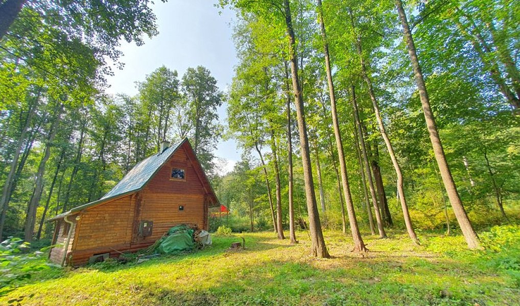 Prodej chaty/chalupy 70 m² s pozemkem 3 502 m², Malá Morávka – náhled fotky 6