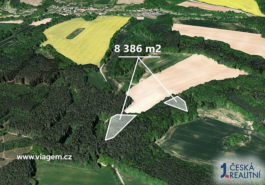 Les 8 386 m², Podíl 50 % o výměře 4 193 m² – pohled 2