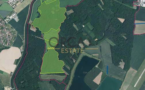 Prodej lesa 58 009 m², Kostelany nad Moravou, okres Uherské Hradiště