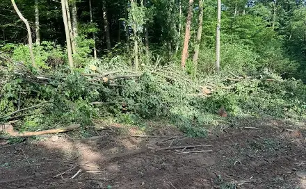 Prodej lesa 7 989 m², Kelč - Komárovice, okres Vsetín