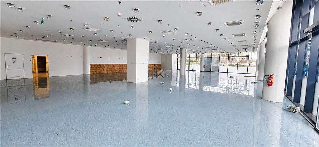 Pronájem obchodních prostor 262 m² — photo 2