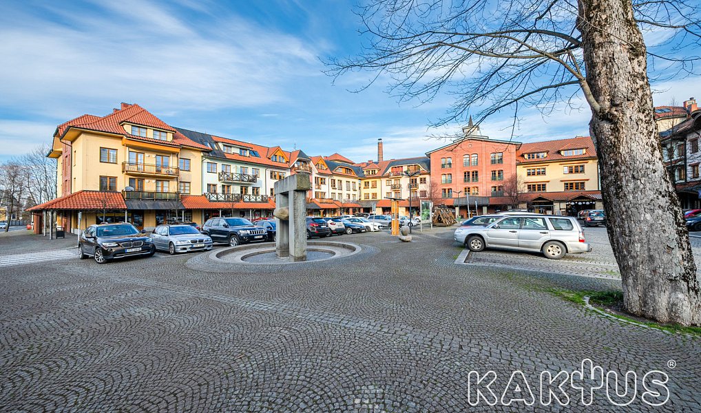 Pronájem bytu 2+kk 46 m², Čeladná – náhled fotky 19