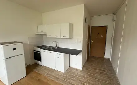 Pronájem bytu 1+1 35 m², Marš. Rybalka, Most