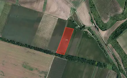 Prodej pole 8 934 m², Valtice, okres Břeclav