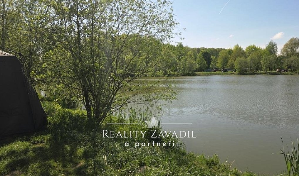Prodej pozemku 32 500 m², Žabeň – náhled fotky 6