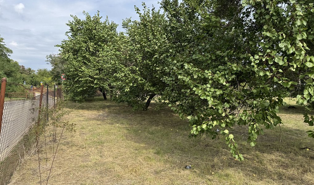 Prodej zahrady 1 171 m², Valtice – náhled fotky 10