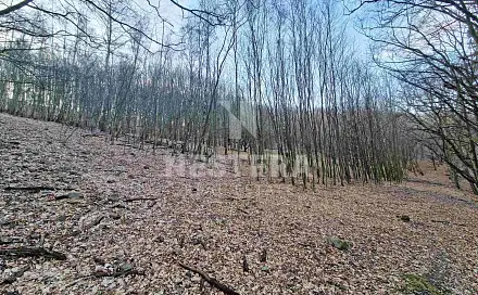 Prodej louky 10 301 m², Jílové u Prahy, okres Praha-západ