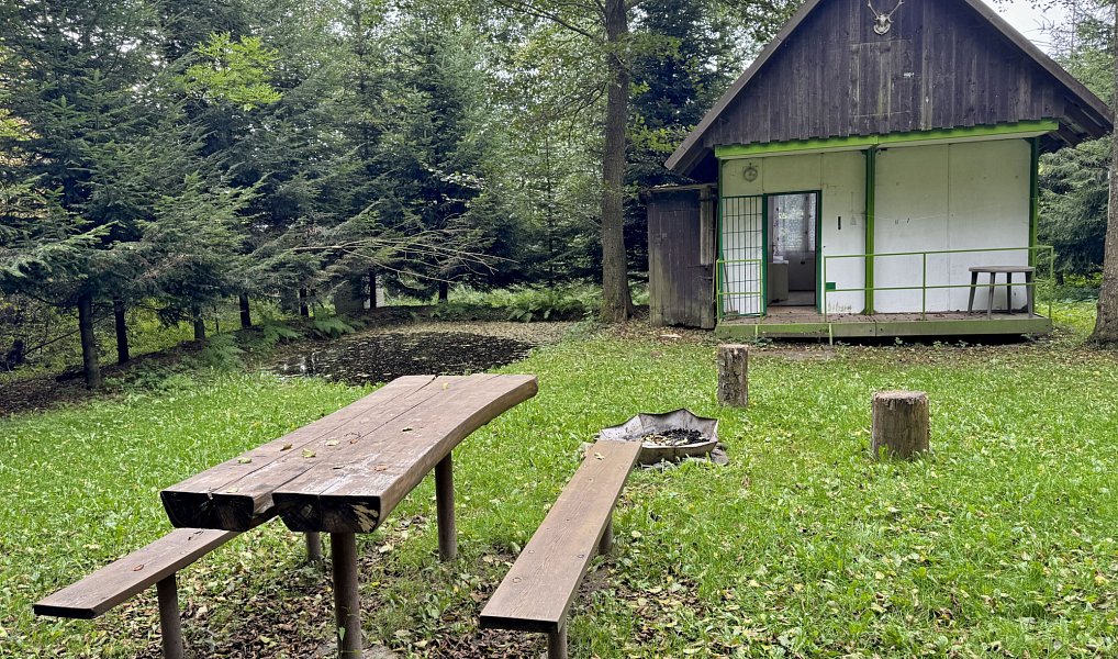 Prodej chaty/chalupy 85 m² s pozemkem 2 880 m², Loučná nad Desnou – náhled fotky 12