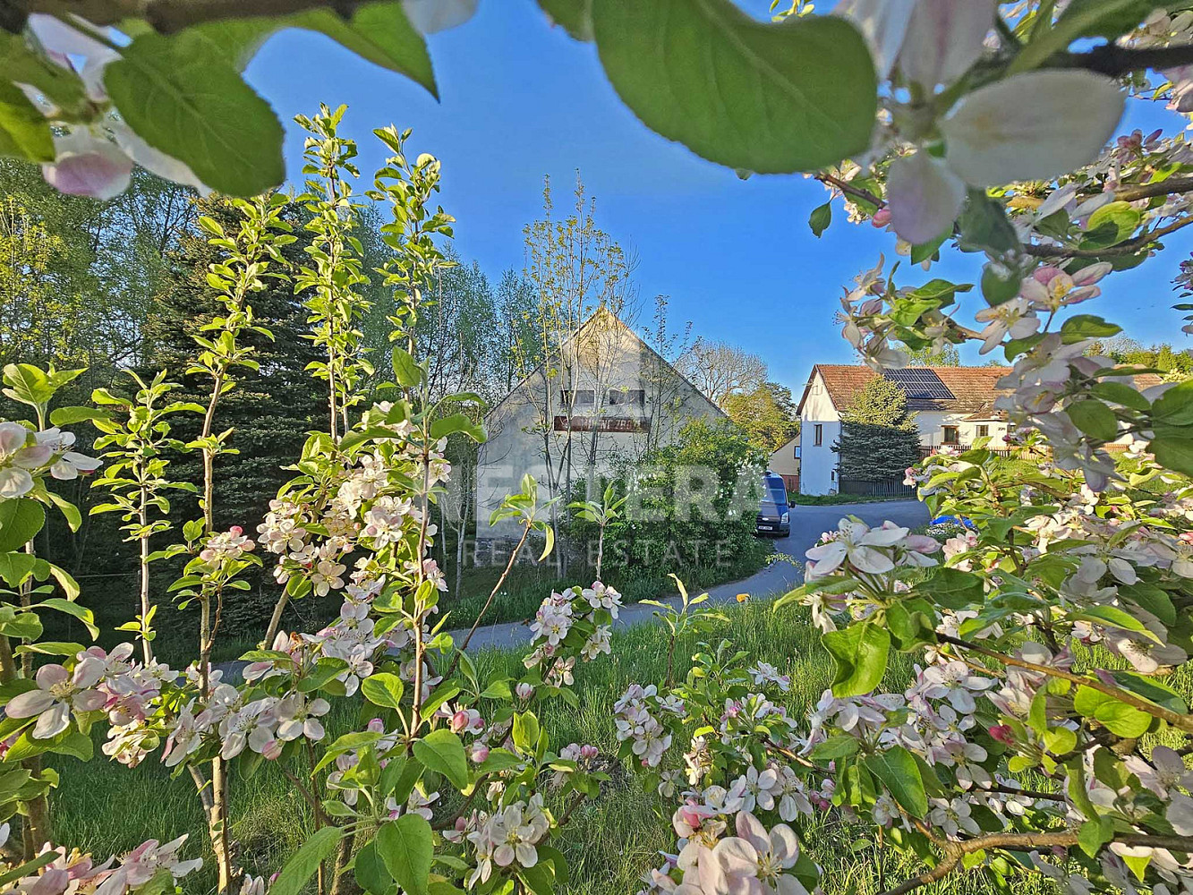 Prodej zemědělského objektu 650 m² – fotografie 3