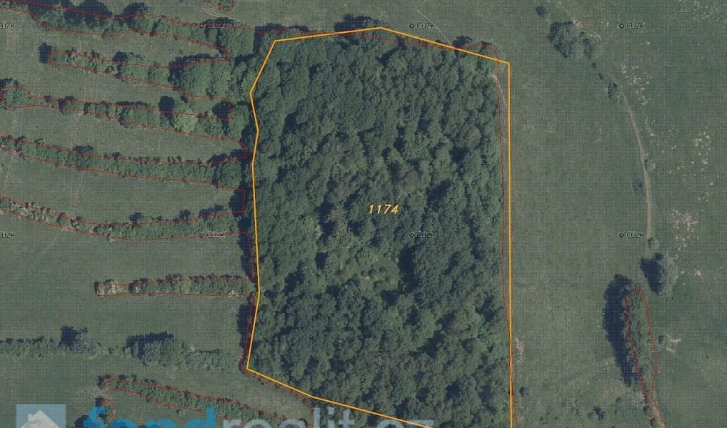 Prodej pole 35 381 m², Přimda – náhled fotky 5