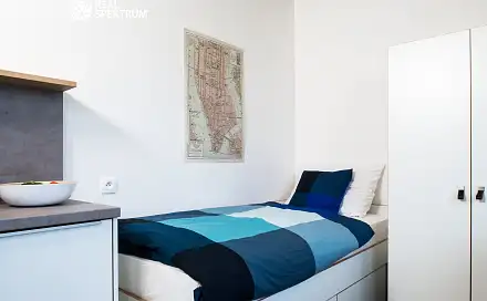 Pronájem bytu 1+kk 24 m², Dornych, Brno - Trnitá