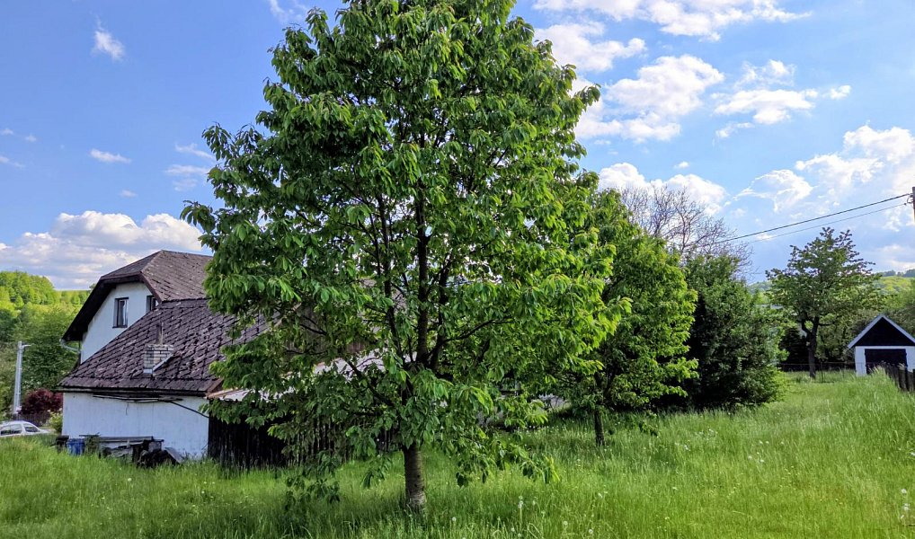 Prodej domu 200 m² s pozemkem 1 857 m², Lichnov – náhled fotky 42