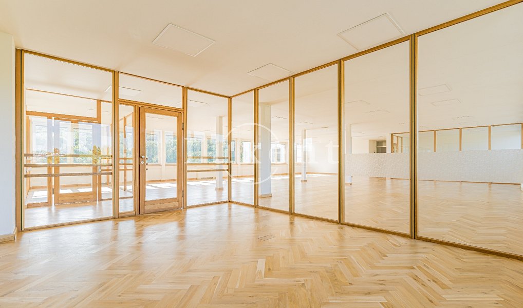 Pronájem kanceláře 257 m², Praha – náhled fotky 5