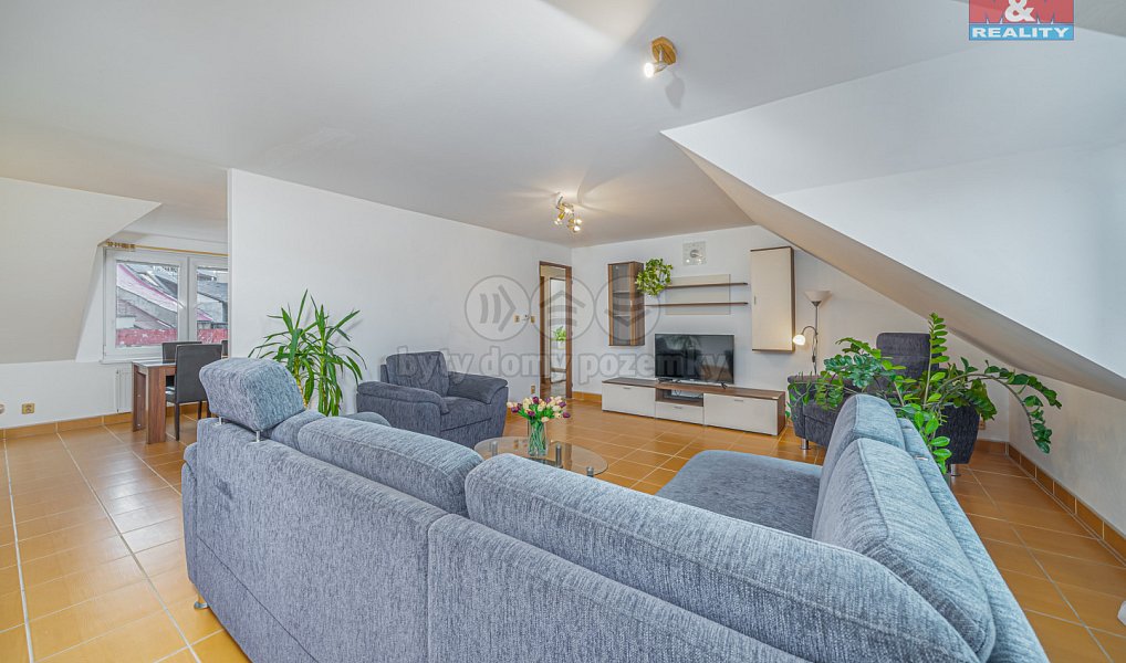 Prodej obchodních prostor 450 m², Moravský Beroun – náhled fotky 4