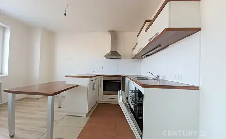 Pronájem bytu 1+kk 36 m², Nížkovice, okres Vyškov