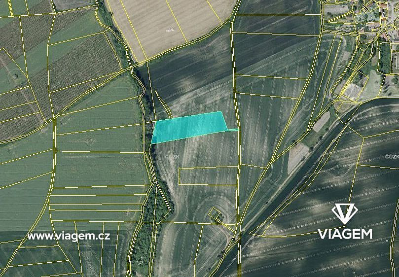 Prodej pole 2 614 m² – fotografie 3