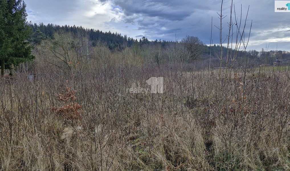 Prodej stavebního pozemku 2 983 m², Kynšperk nad Ohří – náhled fotky 9