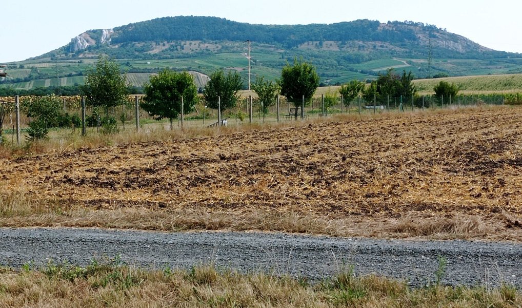 Prodej stavebního pozemku 1 600 m², Dolní Dunajovice – náhled fotky 10