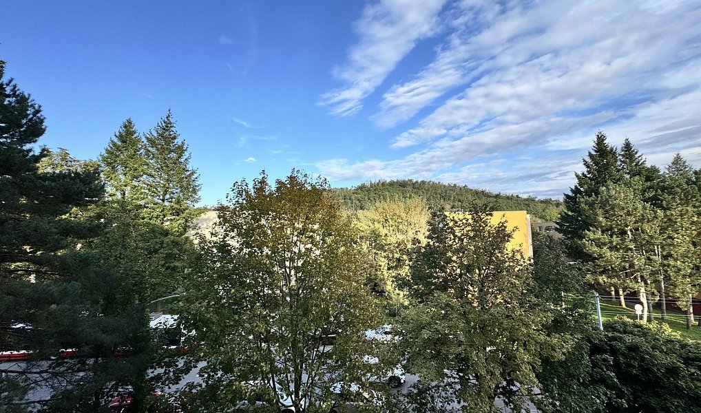 Prodej bytu 2+1 58 m², Brno – náhled fotky 18