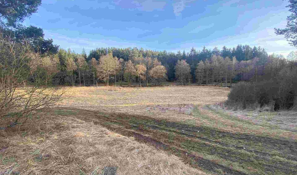 Prodej pozemku 5 268 m², Kočov – náhled fotky 8