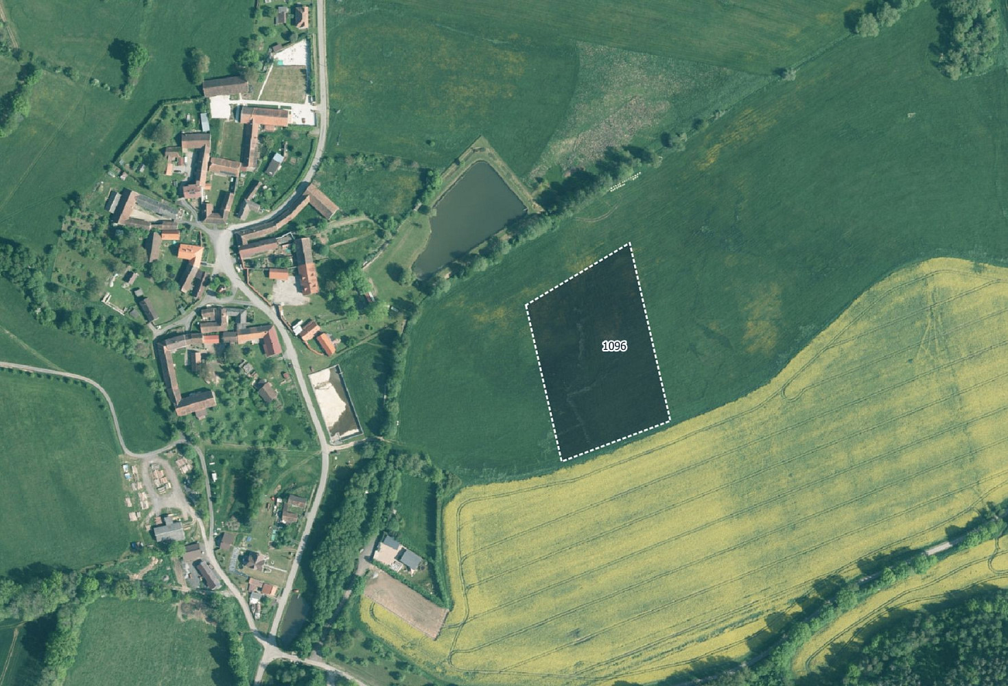 Prodej louky 10 066 m²