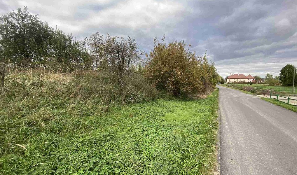 Prodej stavebního pozemku 1 651 m², Javorník – náhled fotky 3