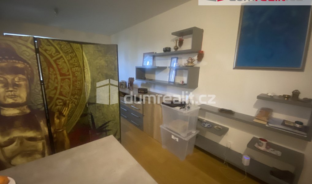 Pronájem bytu 1+kk 43 m², Praha – náhled fotky 2