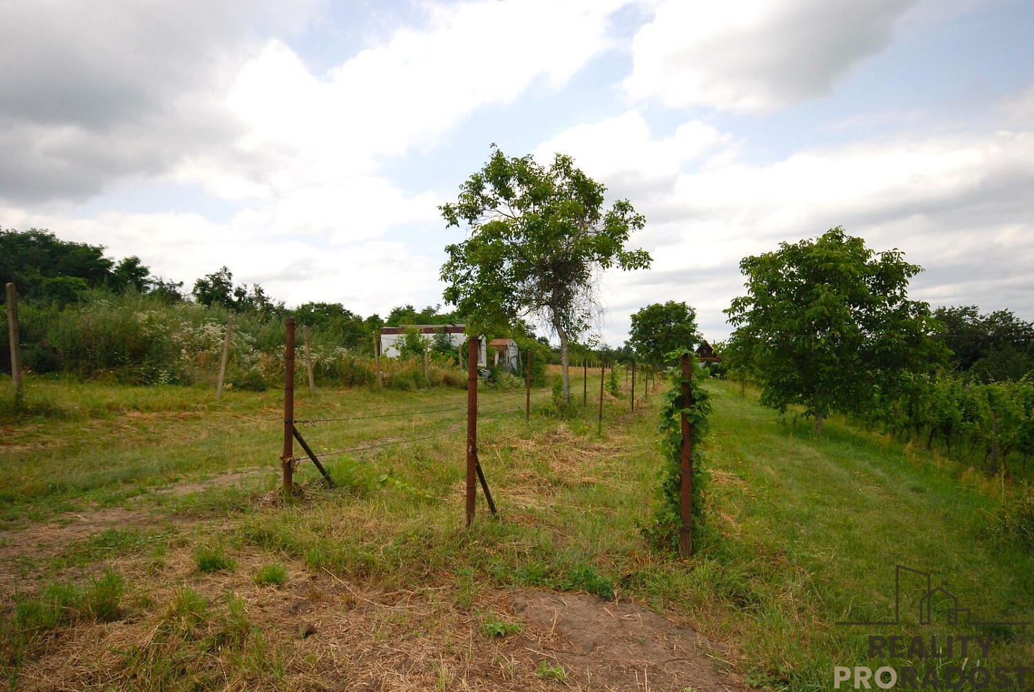 Prodej chaty/chalupy 15 m² s pozemkem 1 995 m² — photo 3