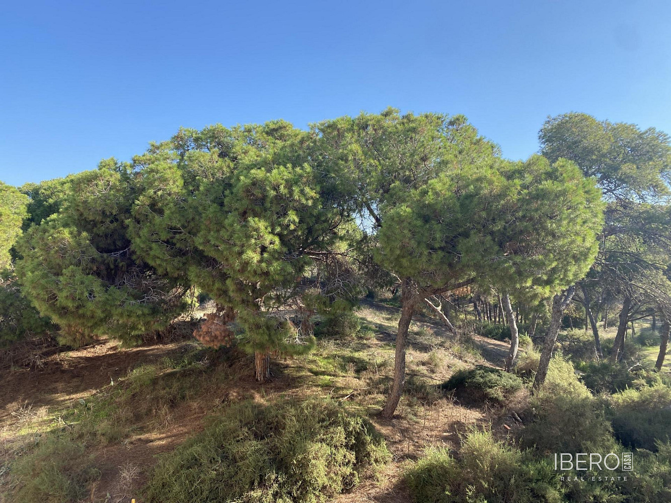 Piso 3+kk – Guardamar del Segura - Vista 2
