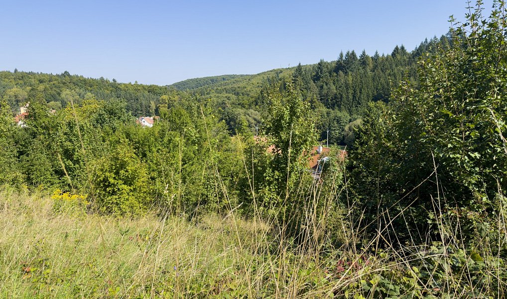 Prodej stavebního pozemku 691 m², Křtiny – náhled fotky 9