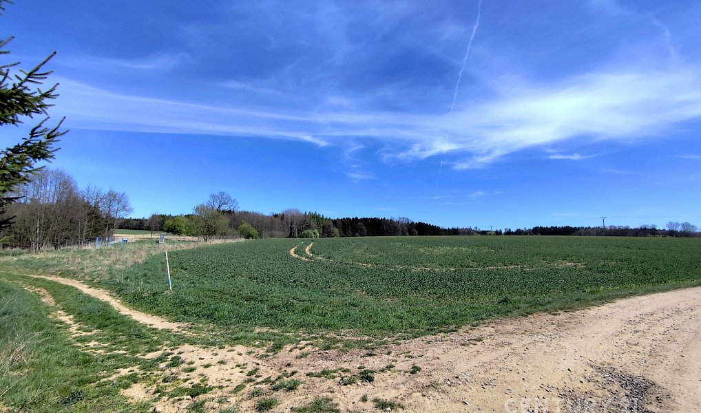 Prodej pole 40 119 m², Nová Včelnice – náhled fotky 4