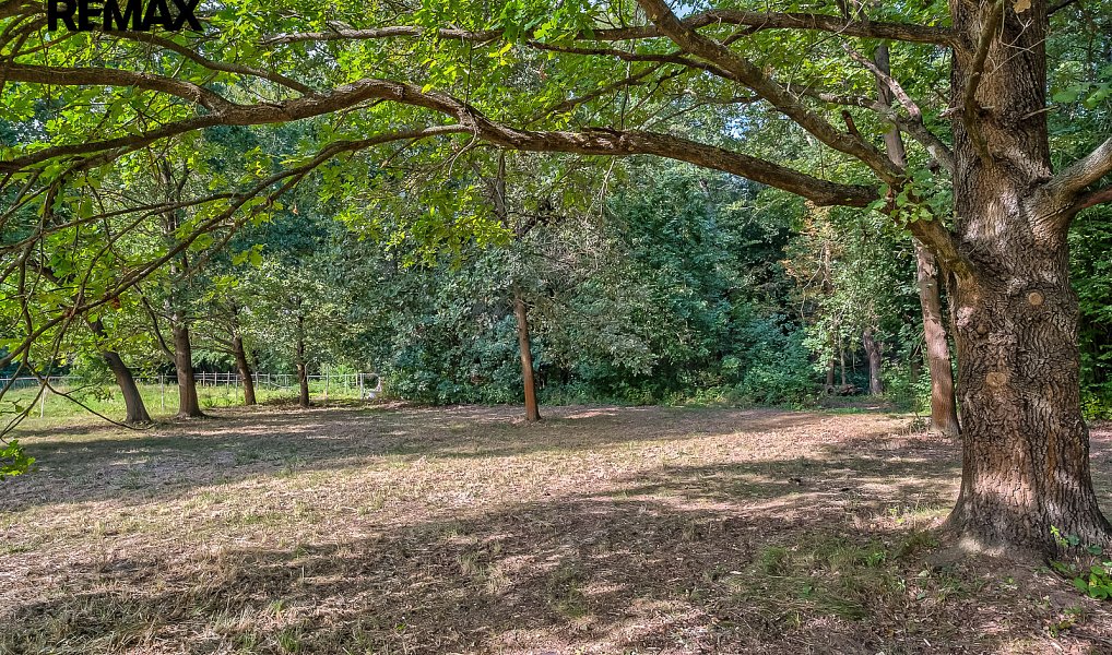 Prodej zahrady 2 143 m², Praha – náhled fotky 22