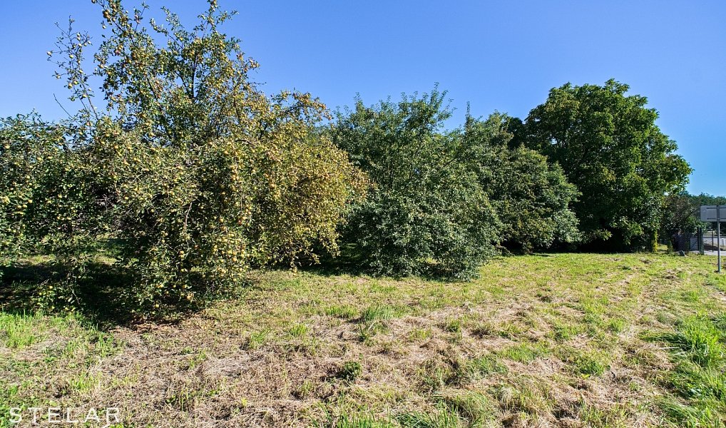 Prodej domu 120 m² s pozemkem 2 179 m², Starý Jičín – náhled fotky 5