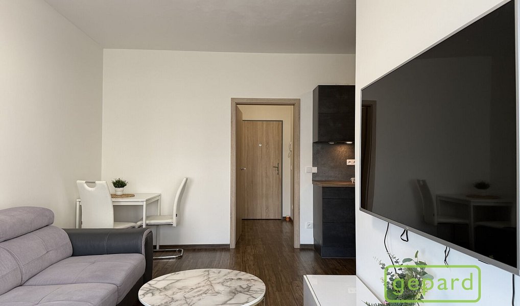 Pronájem bytu 1+1 41 m², Olomouc – náhled fotky 2