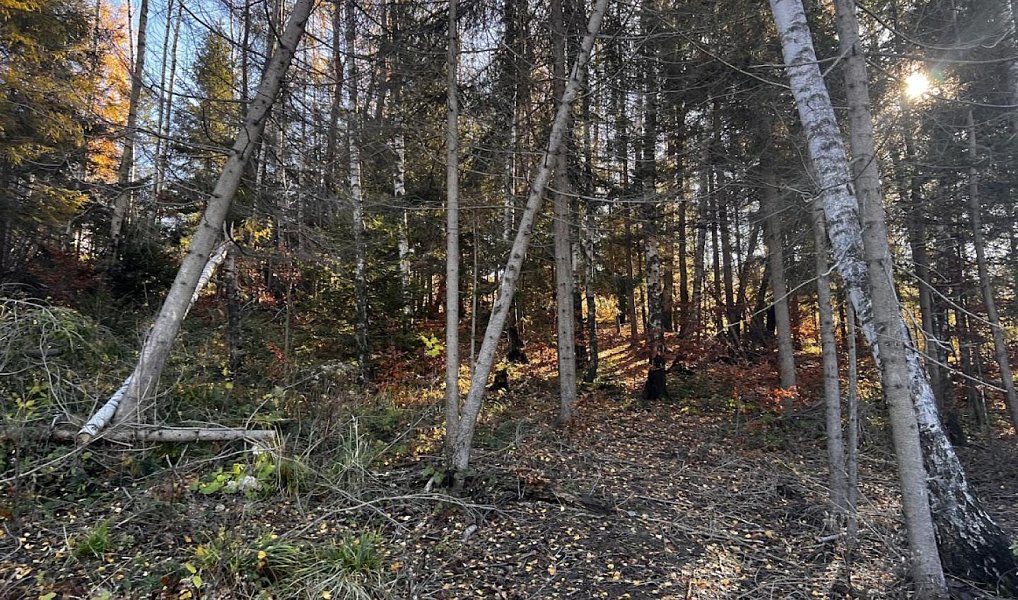 Prodej stavebního pozemku 3 129 m², Chvalčov – náhled fotky 17