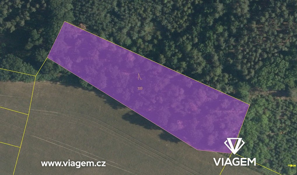Prodej lesa 4 496 m², Sudovo Hlavno – náhled fotky 4
