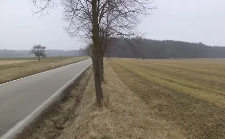Dražba pole 1 591 m², Zahájí