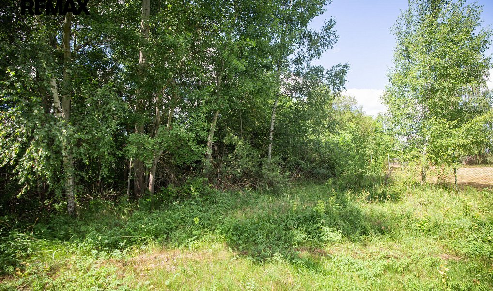 Prodej stavebního pozemku 1 753 m², Rožmitál pod Třemšínem – náhled fotky 10