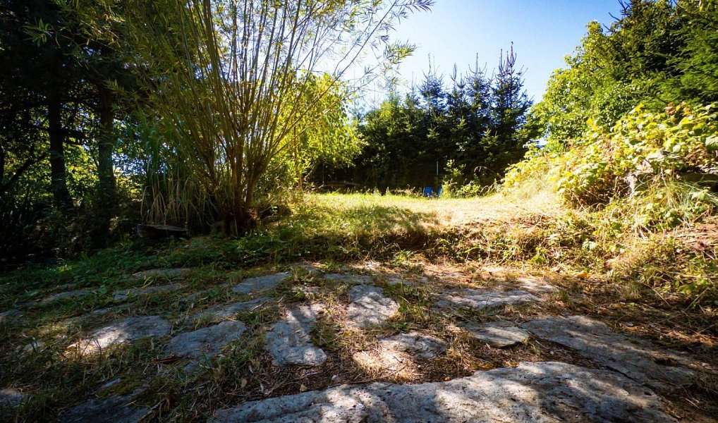 Prodej zahrady 485 m², Vrchlabí – náhled fotky 6