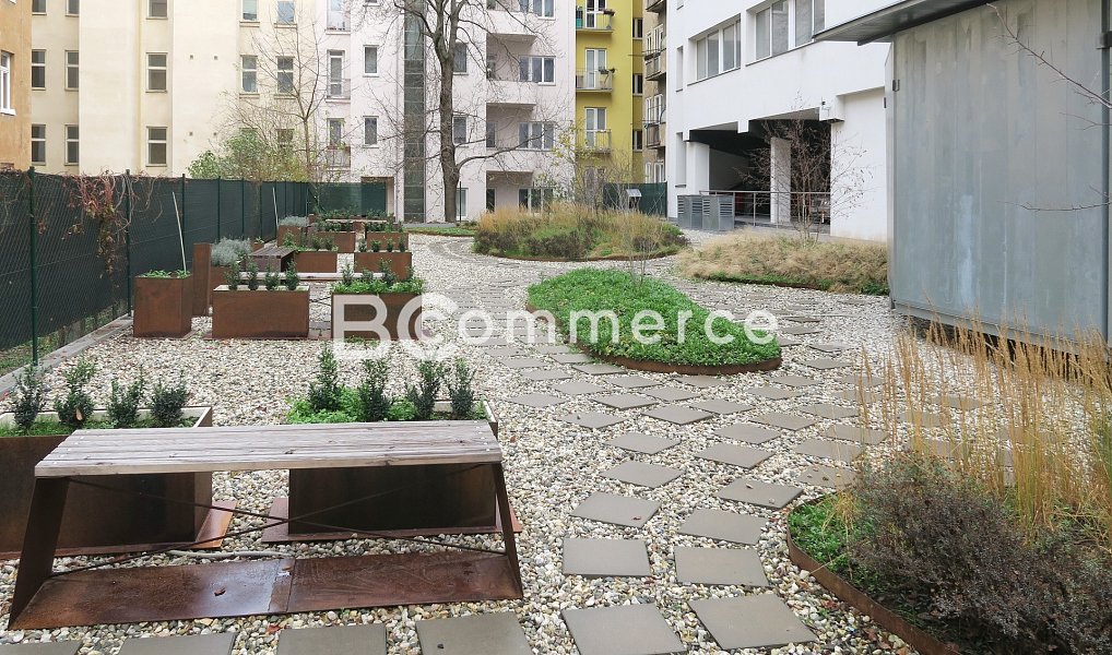 Pronájem kanceláře 37 m², Brno – náhled fotky 5