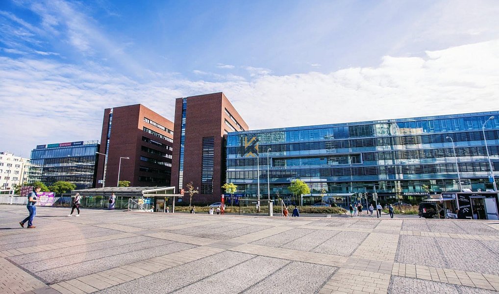 Pronájem kanceláře 555 m², Praha – náhled fotky 10