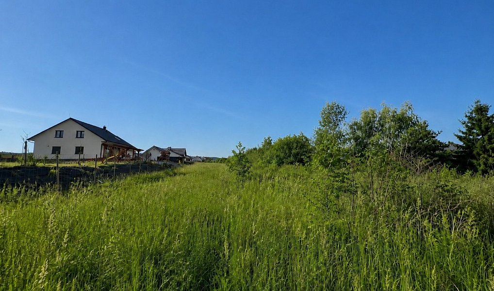 Prodej stavebního pozemku 13 500 m², Vranová – náhled fotky 4