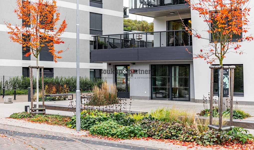 Prodej bytu 3+kk 69 m², Praha – náhled fotky 23