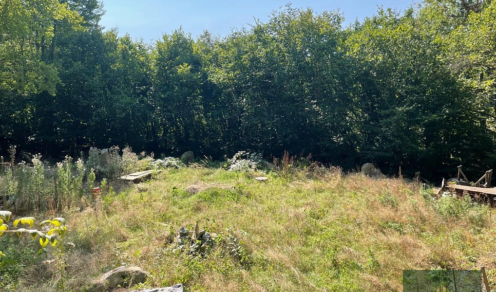 Prodej stavebního pozemku 375 m², Kolinec – náhled fotky 5