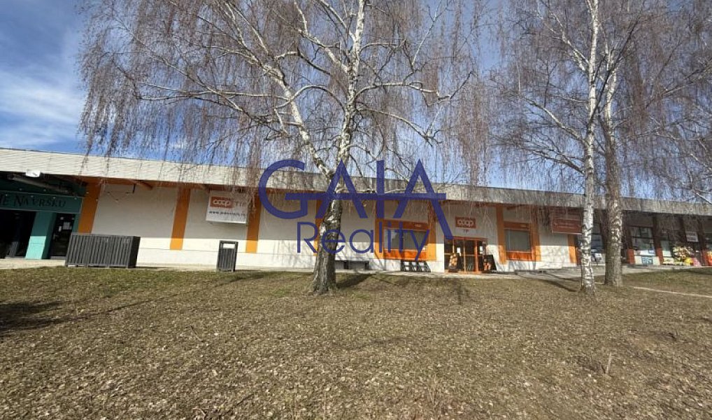 Prodej obchodních prostor 600 m², Dačice – náhled fotky 21