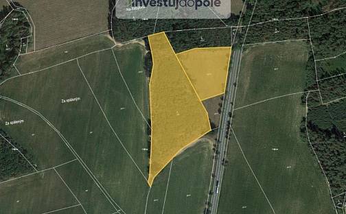Prodej lesa 15 277 m², Luženičky - Luženice, okres Domažlice