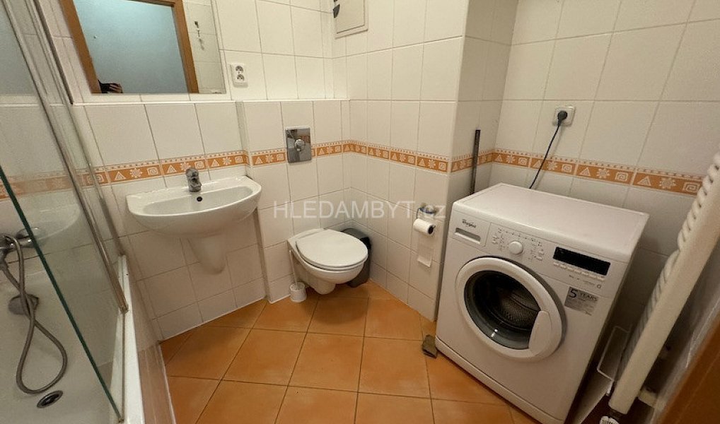 Pronájem bytu 1+kk 30 m², Praha – náhled fotky 6
