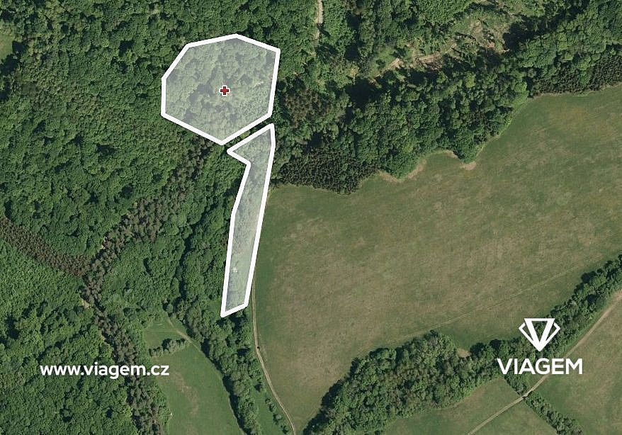 Prodej pole 699 m²