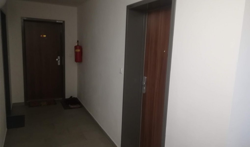 Pronájem bytu 1+kk 31 m², Plzeň – náhled fotky 13