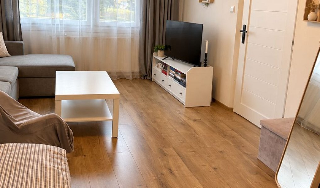 Pronájem bytu 1+1 39 m², Plzeň – náhled fotky 4